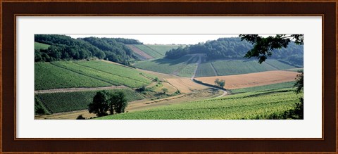Framed France, Chablis, vineyards Print