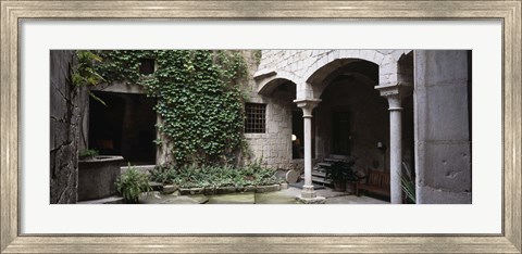 Framed Ivy on the wall of a house, Girona, Spain Print