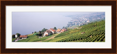 Framed Vineyards, Lausanne, Lake Geneva, Switzerland Print