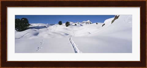 Framed Footprints on a snow covered landscape, Alps, Riederalp, Valais Canton, Switzerland Print