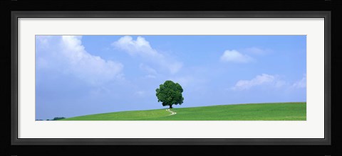 Framed Lone Tree on Hilltop Salzkammergut Austria Print