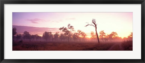 Framed Kakadu National Park Northern Territory Australia Print