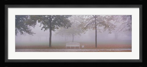 Framed Trees and Bench in Fog Schleissheim Germany Print