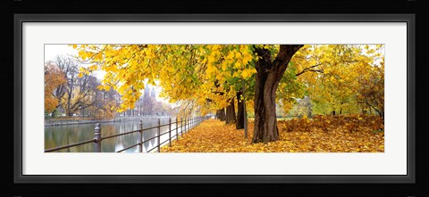 Framed Autumn Scene Munich Germany Print