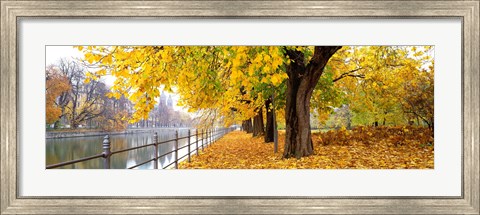 Framed Autumn Scene Munich Germany Print