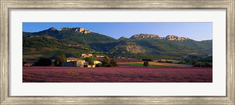 Framed Lavender Fields And Farms, High Provence, La Drome, France Print