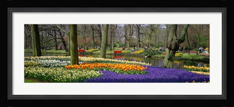 Framed Keukenhof Garden Lisse The Netherlands Print