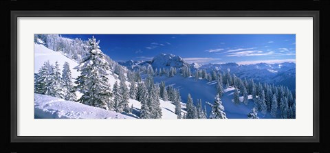 Framed Alpine Scene, Bavaria, Germany Print