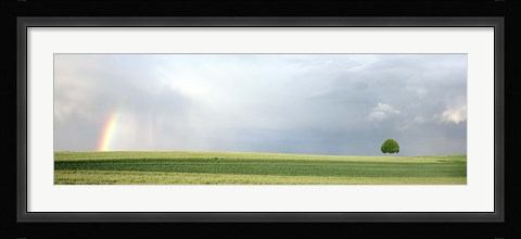 Framed Rainbow and storm clouds over a field, Zurich Canton, Switzerland Print