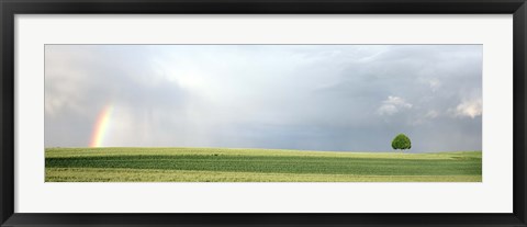 Framed Rainbow and storm clouds over a field, Zurich Canton, Switzerland Print