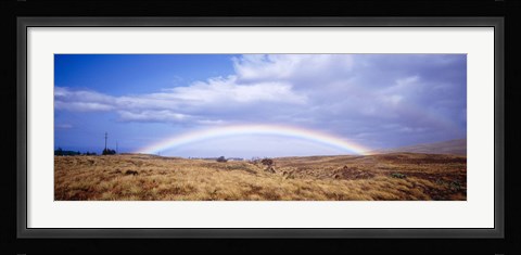 Framed Field, Rainbow, Hawaii, USA Print