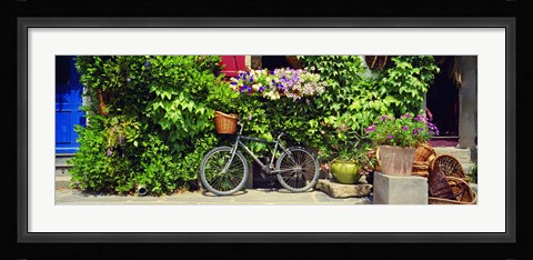 Framed Bicycle In Front Of Wall Covered With Plants And Flowers, Rochefort En Terre, France Print