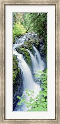 Framed Sol Duc Falls Olympic National Park WA Print