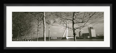 Framed Bridge Over A River, Erasmus Bridge, Rotterdam, Netherlands Print