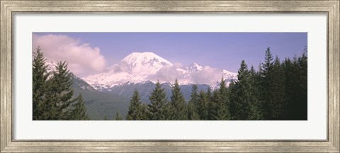 Framed Mt Ranier Mt Ranier National Park WA Print
