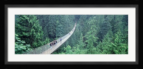 Framed Capilano Bridge, Suspended Walk, Vancouver, British Columbia, Canada Print
