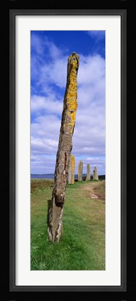 Framed Narrow pillar in the Ring Of Brodgar, Orkney Islands, Scotland, United Kingdom Print
