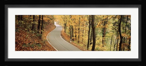 Framed Autumn trees along a road, Germany Print