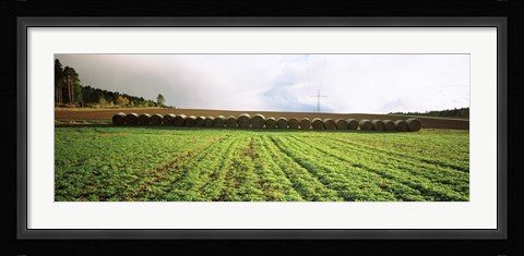 Framed Hay bales in a farm land, Germany Print