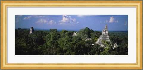 Framed High Angle View Of An Old Temple, Tikal, Guatemala Print