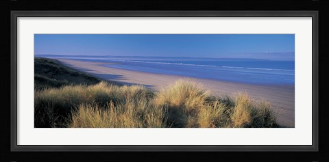 Framed Tall grass on the coastline, Saunton, North Devon, England Print