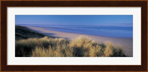 Framed Tall grass on the coastline, Saunton, North Devon, England Print