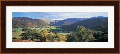 Framed High angle view of trees on the mountainside, Borrowdale, Lake District, England Print
