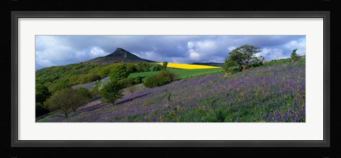 Framed Bluebell Flowers In A Field, Cleveland, North Yorkshire, England, United Kingdom Print