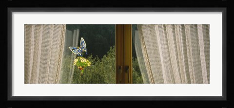 Framed Close-Up Of Flowers And A Butterfly Painted On A Window, Germany Print