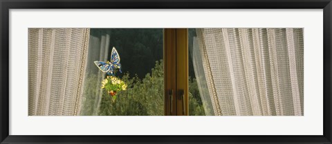 Framed Close-Up Of Flowers And A Butterfly Painted On A Window, Germany Print