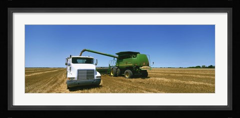 Framed Combine in a wheat field, Kearney County, Nebraska, USA Print