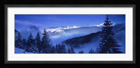 Framed Trees on a polar landscape, Simplon Pass, Switzerland Print