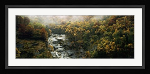Framed High angle view of trees in a forest, Simplon Pass, Switzerland Print