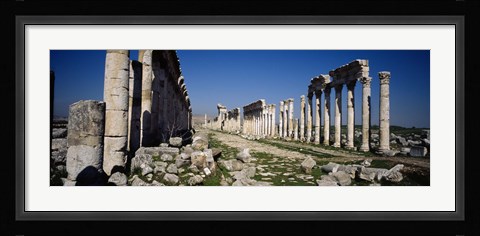 Framed Old ruins on a landscape, Cardo Maximus, Apamea, Syria Print