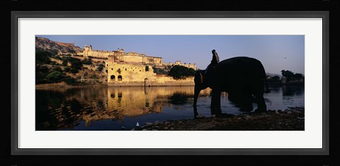 Framed Side profile of a man sitting on an elephant, Amber Fort, Jaipur, Rajasthan, India Print