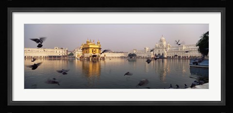 Framed Reflection of a temple in a lake, Golden Temple, Amritsar, Punjab, India Print