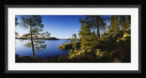 Framed Trees at the lakeside, Lake Saimaa, Puumala, Finland Print