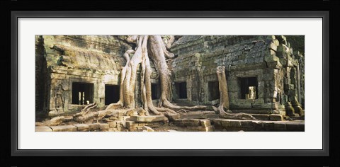 Framed Close up of Old ruins of a building, Angkor Wat, Cambodia Print