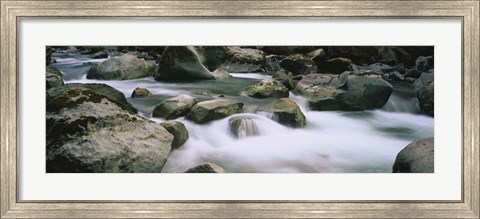 Framed River flowing through rocks, Skokomish River, Olympic National Park, Washington State, USA Print
