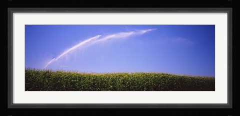Framed Water being sprayed on a corn field, Washington State, USA Print