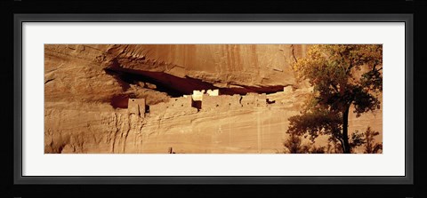 Framed Tree in front of the ruins of cliff dwellings, White House Ruins, Canyon de Chelly National Monument, Arizona, USA Print