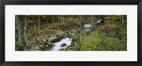 Framed Stream through the Forest, New Hampshire Print