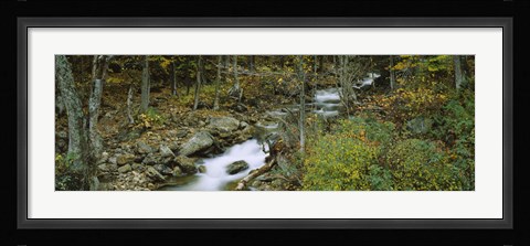Framed Stream through the Forest, New Hampshire Print