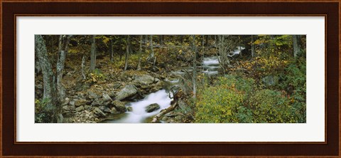 Framed Stream through the Forest, New Hampshire Print