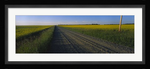 Framed Country Road in Millet, Canada Print