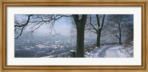 Framed Trees along a snow covered road, Freiburg Im Breisgau, Breisgau, Baden-Wurttemberg, Germany Print