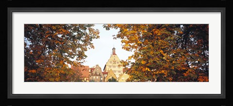 Framed Low angle view of buildings viewed through trees, Bietigheim, Baden-Wurttemberg, Germany Print