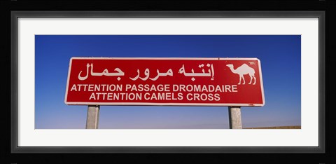 Framed Low angle view of a camel crossing signboard, Douz, Tunisia Print
