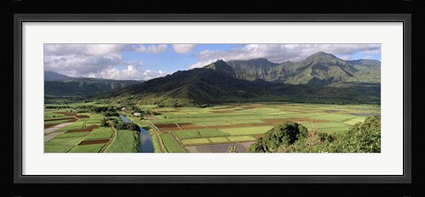 Framed High angle view of a field with mountains in the background, Hanalei Valley, Kauai, Hawaii, USA Print
