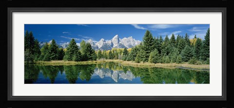 Framed Reflection of trees in water with mountains, Schwabachers Landing, Grand Teton, Grand Teton National Park, Wyoming, USA Print